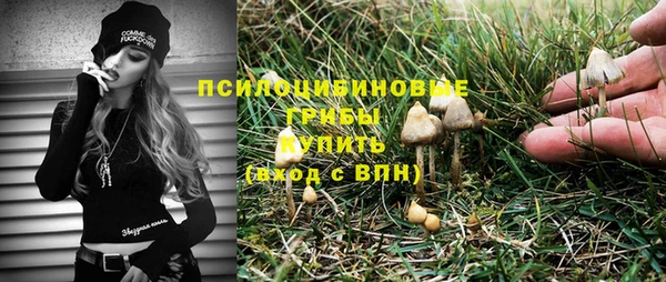 экстази Алексин